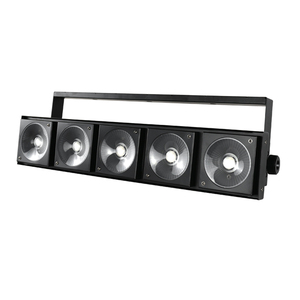 5Pcs 30W Led Matrix Light