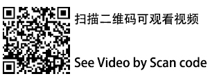 54颗染色帕灯.jpg