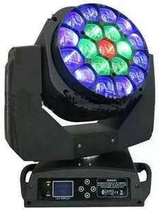 19pcs Led focus Bee moving head